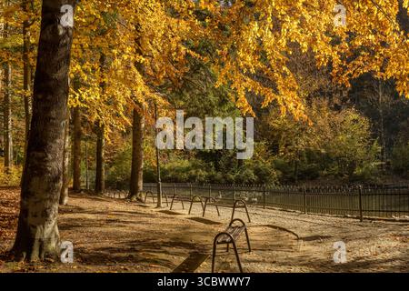 Stagione autunnale nel parco pubblico con lago e panche in legno Foto Stock