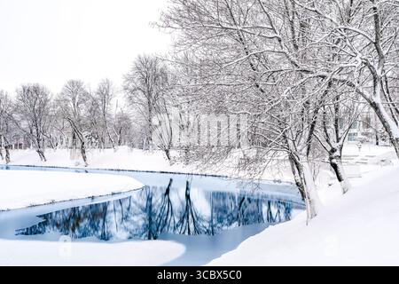 Paesaggio invernale di un lago ghiacciato con alberi vuoti sulla riva innevata; freddo giorno invernale in acqua a Fagaras, contea di Brasov, Transilvania, RO Foto Stock