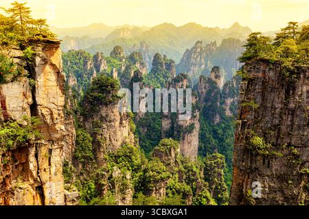 Parco nazionale di Zhangjiajie. Famosa attrazione turistica a Wulingyuan, Hunan, Cina. Incredibile paesaggio naturale con colonne di pietra montagne di quarzo durante Foto Stock