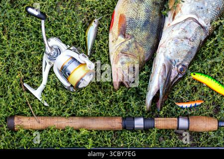 Concetto di pesca. Canna da filare, mulinello, luccio e pesce persico e attiri sull'erba verde. Foto Stock