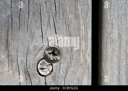 Primo piano di una vite in metallo su una tavola di legno intemprata con crepe e consistenze naturali. Foto Stock