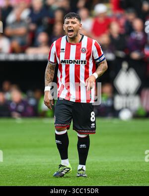Sheffield, Regno Unito. 9 agosto 2025. Gustavo Hamer di Sheffield Uniteddà istruzioni alla sua squadra durante il match tra Sheffield United e Bristol City Sky Bet Championship a Bramall Lane, Sheffield. Il credito per immagini dovrebbe essere: Craig Thomas/Sportimage Credit: Sportimage Ltd/Alamy Live News Foto Stock