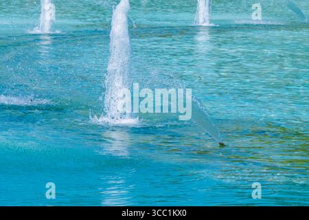 I getti d'acqua si innalzano elegantemente dalla superficie di un tranquillo laghetto, creando divertenti spruzzi mentre la luce del sole si riflette sull'acqua cristallina in un ambiente tranquillo Foto Stock