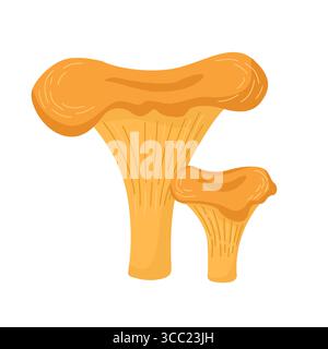 Funghi freschi crudi su sfondo bianco. Illustrazione vettoriale cartoni animati Illustrazione Vettoriale