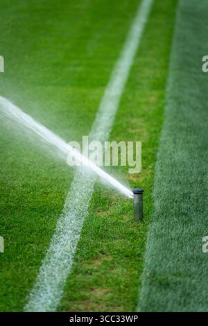 Irrigatore che innaffia l'erba su un campo da calcio, garantendo una crescita e una manutenzione sani Foto Stock