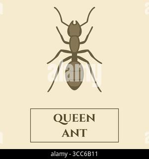 Una formica regina marrone mostrata nel profilo con corpo segmentato e didascalia etichettata, stile minimalista. Illustrazione Vettoriale