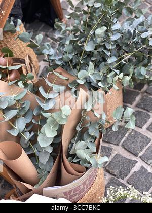 Rami di eucalipto avvolti in carta marrone esposti su strade acciottolate al mercato all'aperto. Foto mobile Foto Stock