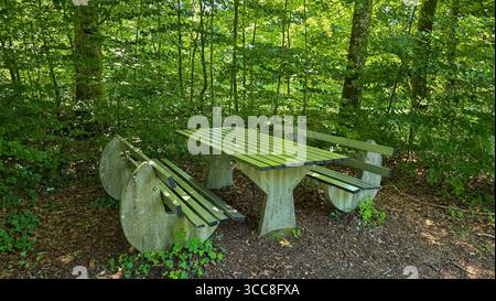 Vista del tavolo e di due banchi in cemento e metallo nella foresta tedesca. Posto per picnic nella foresta in Germania. Foto Stock