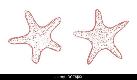 Illustrazione minimalista delle stelle marine Illustrazione Vettoriale