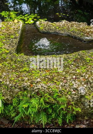 Questa immagine mostra un tranquillo giardino con una piccola fontana circondata da lussureggianti felci e rocce coperte di muschio, creando un ambiente sereno e rilassato Foto Stock
