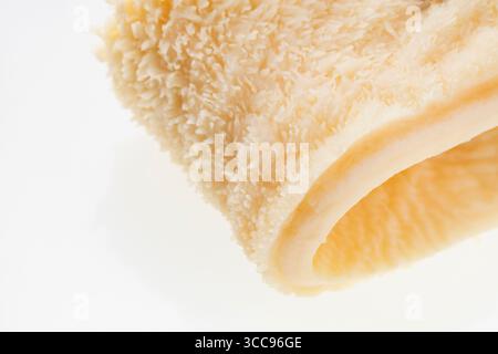 Trippa cruda a nido d'ape - secondo stomaco di manzo Foto Stock