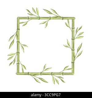 Steli di bambù verdi con foglie cornice quadrata ad acquerello. Bordo dell'illustrazione isolato disegnato a mano dalla vegetazione. Modello da cartolina con motivo floreale Foto Stock