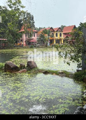 Colorati edifici sul lago a Langkawi, Malesia, visti dalla pioggia leggera con ninfee in primo piano. Foto Stock