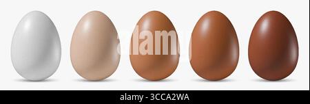 Set di realistiche uova di pollo bianche, beige, chiare e scure. Vettore isolato su sfondo bianco Illustrazione Vettoriale