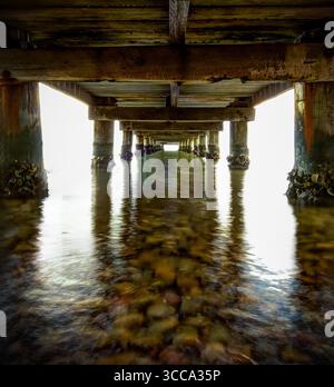 Vista delle travi in legno e dei pilastri di cemento che si innalzano dalle acque dolci e riflettenti, creando una visione eterea e simmetrica del tunnel, Newcastle NSW Australia Foto Stock