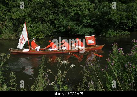 Il Queens Swan Marker David Barber, ora è il padrone dei Kings Swan. Swan upping the Vintners Livery Company Skiffs – piccole imbarcazioni durante l'annuale tradizione Swan upping. 2007 2000 UK HOMER SYKES Foto Stock