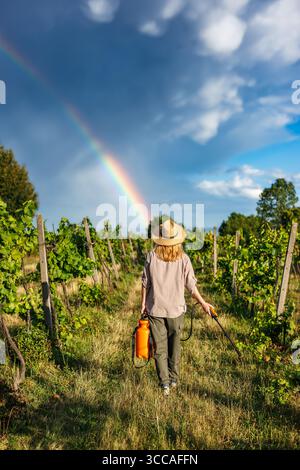 Agricoltore con irroratrice che cammina attraverso il vigneto dopo la pioggia con l'arcobaleno sul cielo. Donna Vintner che si prepara a spruzzare la protezione delle piante Foto Stock