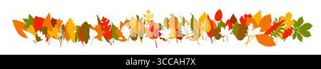 Lungo banner orizzontale e sfondo con foglie autunnali. disegnato a mano. Non ai, illustrazione vettoriale Illustrazione Vettoriale
