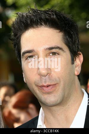 David Schwimmer alla prima di "Madagascar Escape to Africa" tenutasi al Mann Village Theater di Los Angeles - 26 ottobre 2008 Foto Stock