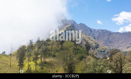 Vista aerea del maestoso Monte Rinjani che attraversa le nuvole, le sue pendici adornate da foreste verdeggianti e praterie dorate, Sembalun, West Nusa Tenggara, Indonesia. Foto Stock
