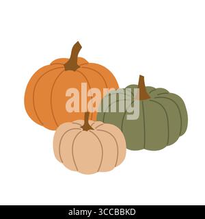 set di diverse zucche autunnali colorate - illustrazione vettoriale Illustrazione Vettoriale