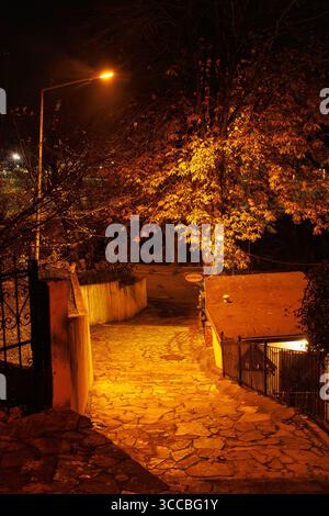 Un agnello e le scale in una splendida vista notturna del Sile, stanbul Foto Stock