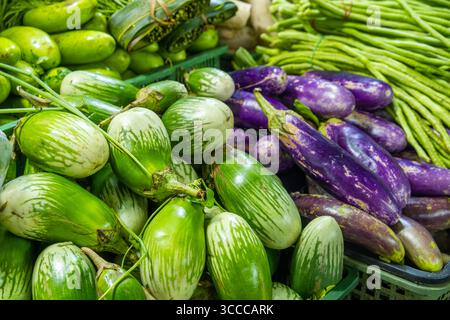 Melanzane verdi e viola fresche esposte in vendita al mercato locale di Phuket, Thailandia. Mercato tailandese, cultura culinaria, agricoltura biologica Foto Stock