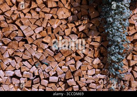 Primo piano di legna da ardere spaccata ben impilata che mostra venature di legno Foto Stock