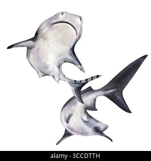 Illustrazione monocromatica disegnata a mano di squali tigre martello, dipinta in stile acquerello. Pesce in movimento ideale per progetti a tema oceanico, didattico Foto Stock