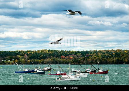 Barche aragosta ormeggiate nel porto di Lubec. Foto Stock