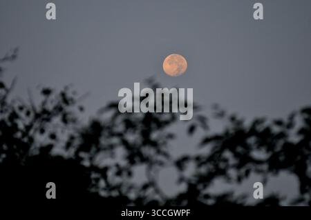 23 ottobre 2023, nuova Delhi, Delhi, India: Moon, a nuova Delhi, il 31 ottobre 2023 (Credit Image: © Ravi Batra/ZUMA Press Wire) Foto Stock