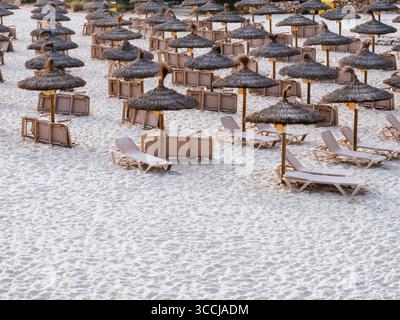File di tradizionali ombrelloni di paglia e lettini beige ordinatamente disposti su una spiaggia di sabbia bianca a Maiorca evocano una classica vacanza estiva mediterranea Foto Stock