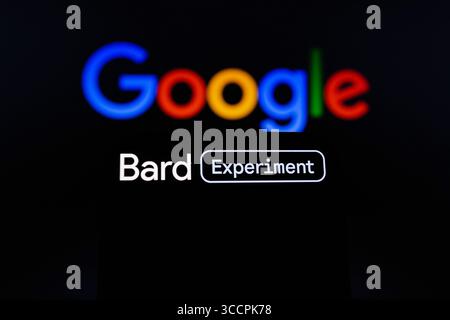 13 luglio 2023, Asuncion, Paraguay: Badge of Bard, un esperimento di intelligenza artificiale di Google, viene visualizzato su uno smartphone. (Immagine di credito: © Andre M. Chang/ZUMA Press Wire) Foto Stock