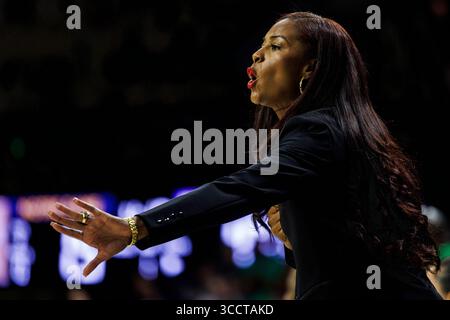 15 novembre 2023: Niele Ivey, capo-allenatore di Notre Dame durante la partita di pallacanestro femminile NCAA tra i Northwestern Wildcats e i Notre Dame Fighting Irish al Purcell Pavilion al Joyce Center di South Bend, Indiana. Notre Dame sconfisse la Northwestern 110-52. John Mersits/CSM. (Immagine di credito: © John Mersits/CSM tramite ZUMA Press Wire) Foto Stock