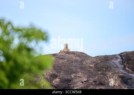 Un maestoso leopardo dello Sri Lanka si trova in cima a un affioramento roccioso nel Parco Nazionale di Yala, Sri Lanka, che domina il suo territorio sotto un cielo azzurro. Foto Stock