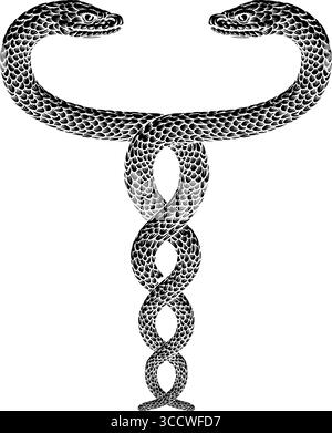 Snakes Two Intertwined Helix Vintage Illustration Illustrazione Vettoriale