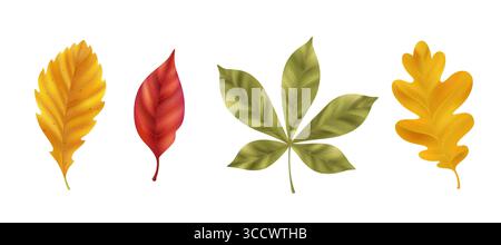 Foglie autunnali dettagliate e realistiche con venature e texture naturali per un design di stagione. Fogliame rosso, arancione e verde con steli botanici visibili per illustrazioni naturali o decorazioni autunnali. Illustrazione Vettoriale