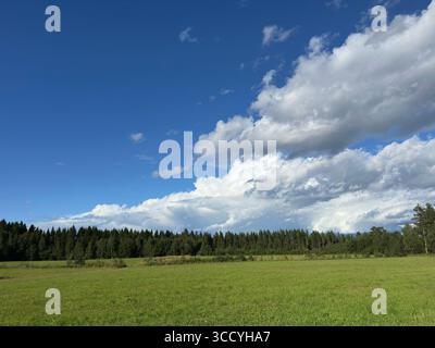 Un paesaggio pittoresco caratterizzato da un cielo blu vibrante e da un lussureggiante campo verde. Foto Stock