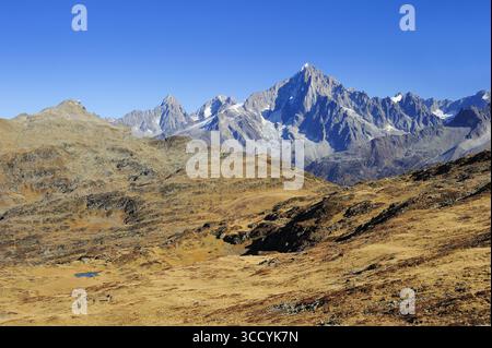 FRANCIA, ALTA SAVOIA (74), PAESE DEL MONTE BIANCO, ESCURSIONE DALL'AIGUILLETTE DES HOUCHES PASSANDO PER ALPAGE DE CHAILLOUX, AIGUILLE VERTE E DRU VIEW DAL Foto Stock