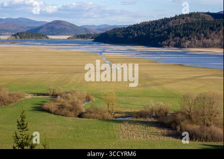Lago Cerknica vasto paesaggio caratterizzato da un campo erboso color marrone dorato con acqua e colline sullo sfondo, Notranjska, Slovenia, Europa Foto Stock