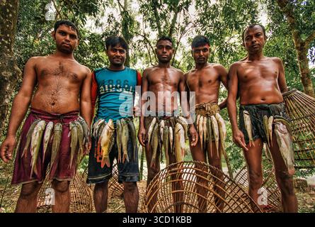 Bogura, Bangladesh - 24 marzo 2018: Veduta di cinque uomini che espongono la loro pesca di pesce fresco sullo sfondo di un vivace fogliame verde e di una luce solare opprimente. Foto Stock