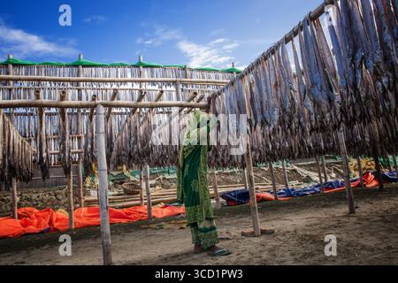 Cox's Bazar, Bangladesh - 29 novembre 2022: Vista dei pesci appesi ad asciugare sotto il cielo luminoso, creando un motivo contro le scaffalature di legno e il vib Foto Stock