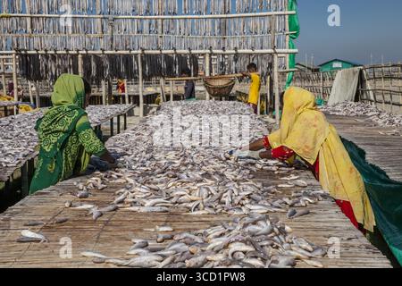 Cox's Bazar, Bangladesh - 29 novembre 2022: Vista delle donne che selezionano pesci secchi su piattaforme di legno intemperie sotto un cielo luminoso, contrastando le consistenze dei pesci con i vestiti colorati delle donne. Foto Stock
