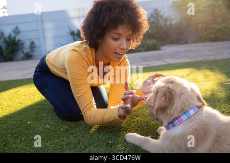 Donna afroamericana inginocchiata nel cortile recintato che raggiunge un piccolo cucciolo di Golden retriever Foto Stock