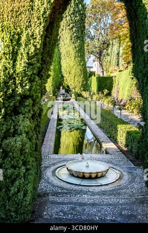 Dettagli nei giardini del Generalife in Alhambra. Granada, Spagna Foto Stock