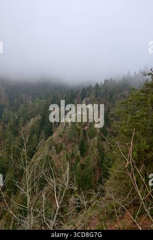 Un paesaggio di montagna nebbioso mozzafiato caratterizzato da una fitta foresta sempreverde che copre ripide scogliere rocciose nella Foresta Nera, in Germania. La fendinebbia si muove Foto Stock