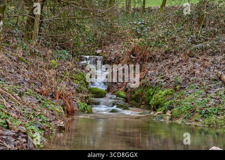 Immergiti nella bellezza serena di questa affascinante cascata nella foresta. Un ruscello di montagna si tuffa graziosamente attraverso un bosco lussureggiante, creat Foto Stock