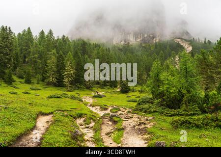 Escursionisti che camminano sotto la pioggia e la nebbia sul sentiero delle tre Cime di Lavaredo, Drei Zinnen, Dolomiti, Italia. Picco di montagna a malapena visibile nella nebbia. Moody alpine wea Foto Stock