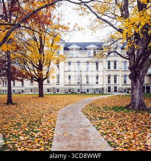 Michigan in autunno con fogliame autunnale Foto Stock
