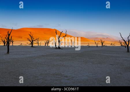 Deadvlei dune colorate alla luce del mattino Foto Stock